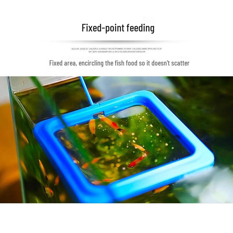 In-Stock Aquarium Fish Food Feeding Ring for Tropical Fish