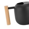 Flower Watering Can 1200ML Stainless Steel Long Spout Large Capacity Wooden Plant Handle Modern Indoor Outdoor Plants Flowers Pot Gardening Supplies