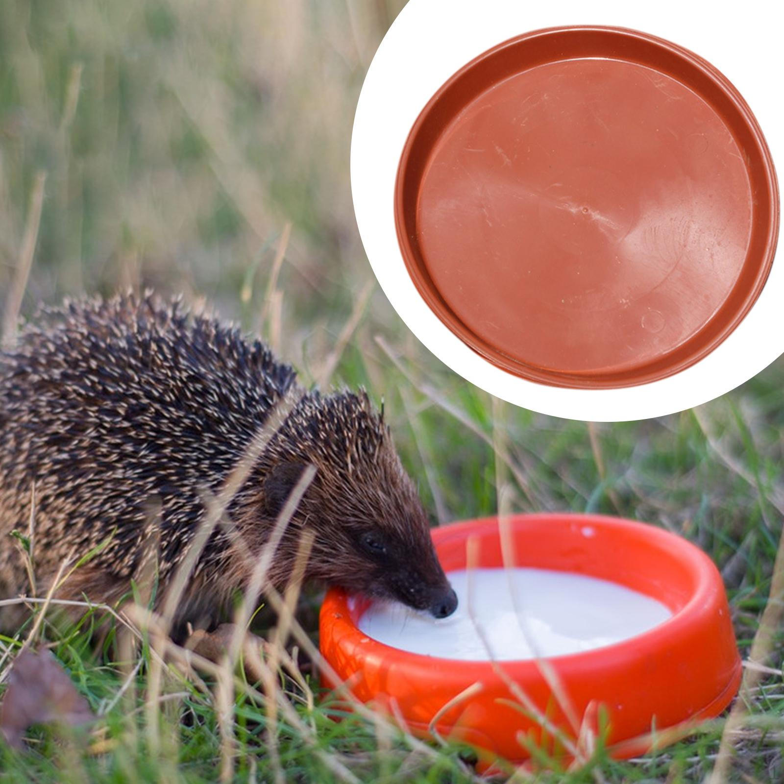 

Миска-ежик, миска для еды, товары для питомцев и поилка для маленьких животных