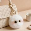 Plüschkatze Schlüsselanhänger Pelzball Puppe Tasche Anhänger Schlüssel Rucksack Geldbörse Zubehör Auto Innenraum Dekoration