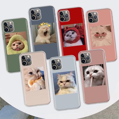 Super Lovely Cat Kitten Cute Phone Case For Apple iPhone 11 12 13 14 Pro 7 XR X XS Max 6 6S 8 Plus + Mini 5 SE Print Soft Cover