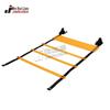 Speed Training Agility Ladder