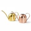 Golden 500ML Stainless Steel Watering Can with Long Spout - Green Plant Sprayer & Small Garden Sprinkler