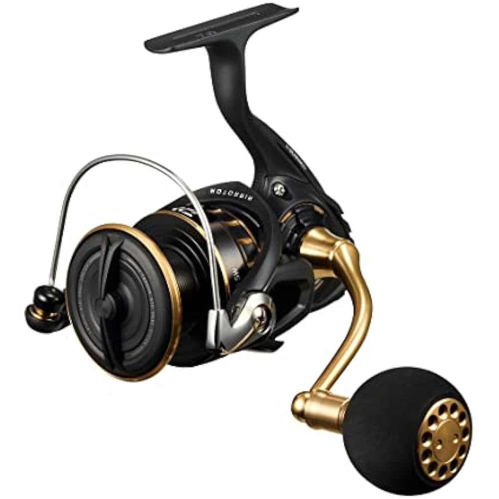 DAIWA (DAIWA) spinning reel 23BG SW 4000D-CXH