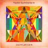 Płyta LP TODD RUNDGREN Initiation BR6957 BEARSVILLE 1975 USA Rock Używana