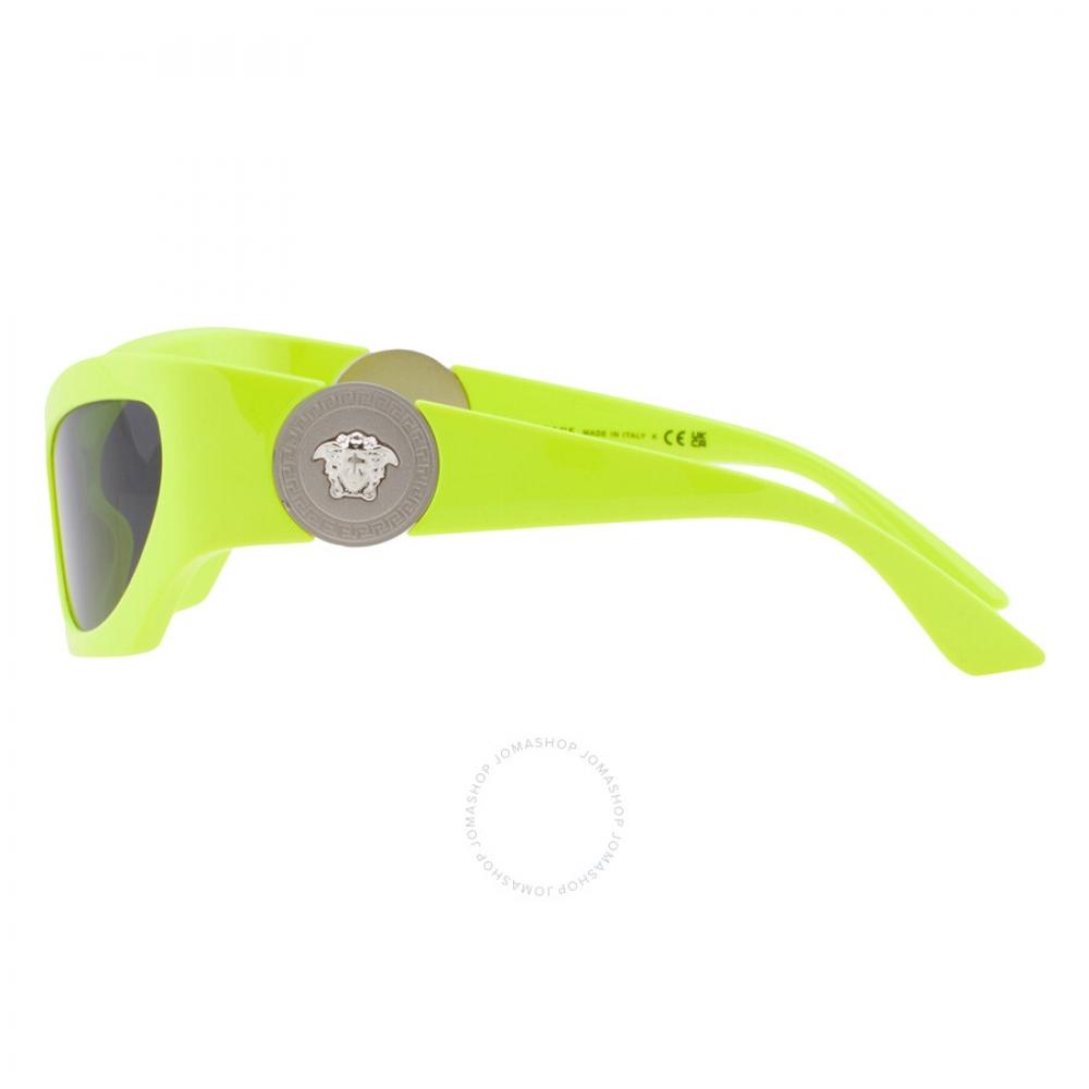 Versace Dark Grey Cat Eye Ladies Sunglasses Ve4450 541887 60