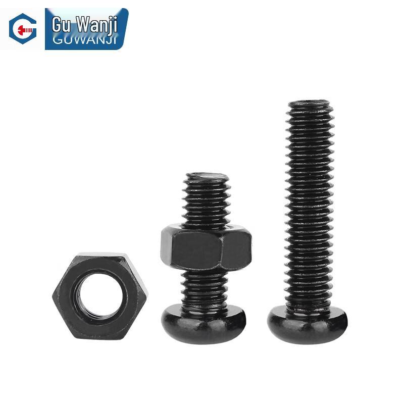 GUWANJI Cross Recessed Pan Head Screw and Hex Nut Kit