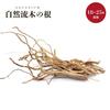 [AiO JAPAN] Aquarium Treibholz - Ver. 4 - Natürliche Wurzelholz-Wurzeln, 50g Bündel, Ultra-dünne Wurzeln, Anpassbare Form, 15-30cm