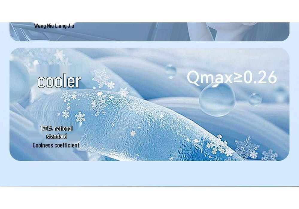 2025 Car Sunshade: Heat Insulation & Sun Blocker Side Window Curtain