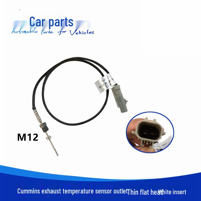 Denlong Renault Cummins Downstream Exhaust Temperature Sensor - White Plug