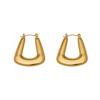 Chic Geometric Titanium Ear Hoops: European & American Cold Style Celebrity Earrings