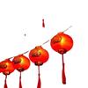 OEING Red Lantern String Lights