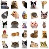50 Cute Cartoon Cat Stickers For Scrapbooking Luggage Phone Cases Guitars And Skateboards