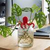Devil-fish Shaped Plant Stem Support Creative Plant Cutting Holder  Outdoor Home Gardening