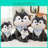 Peluche Husky à Poil Court en Fausse Fourrure pour Enfants et Filles Cadeau