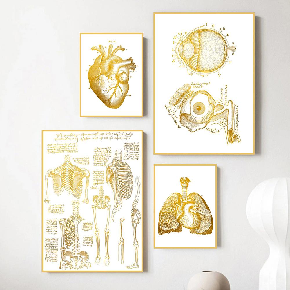 Human Organ Bone Tissue Structure Poster Golden Nordic Retro Style Canvas Painting Living Room Wall Art Prints Modern Home Decor No Frame