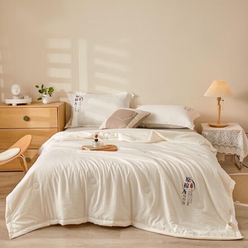 Nanjiren Soy Fiber Summer Cooling Quilt