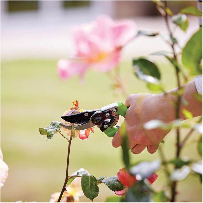 Silverline sécateur 220 mm