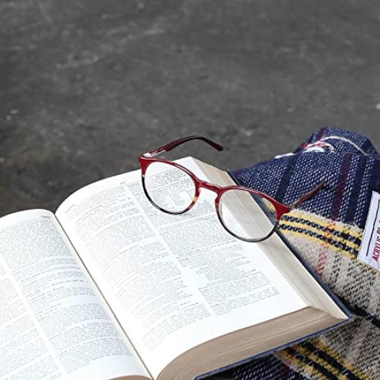 Dulton Bonox Series Reading Glasses Wine Type 1 YGF117WN/1