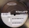 12-Zoll-Schallplatte KLOUD 9 INCOGNITO Cant Stop Thinking About You EXPAND86 Erweiterung 2002 UK Dance Electronica Gebraucht