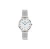 Daniel Wellington Petite Roman Numerals Watch
