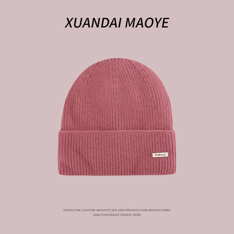 Knitted Hat for Women In Autumn and Winter Warm Plus Velvet Thick Korean Style Wool Hat Fashionable Ear Protection Hat Casual Travel Cold Hat