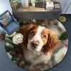Happy Border Collie Round Area Rug,Carpet Rug for Living Room Bedroom Sofa Playroom Decor,Non-slip Floor Mat