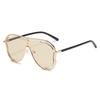 Big Frame Women Sunglasses Y2K Anti-UV Glasses Classic Pilot Sunglasses  Business