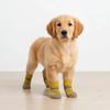 4Pcs Anti-Slip Dog Socks Indoor Paw Protector Breathable Cotton Knitted Pet Socks for Small Medium Dogs