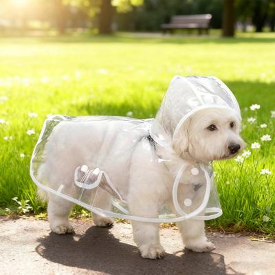 Wasserdichter Hunde-Regenmantel mit Kapuze Haustier-Regenmantel Poncho Transparente Hunde-Regenjacke mit Leinenloch für Welpen Kleine Mittelgroße Hunde