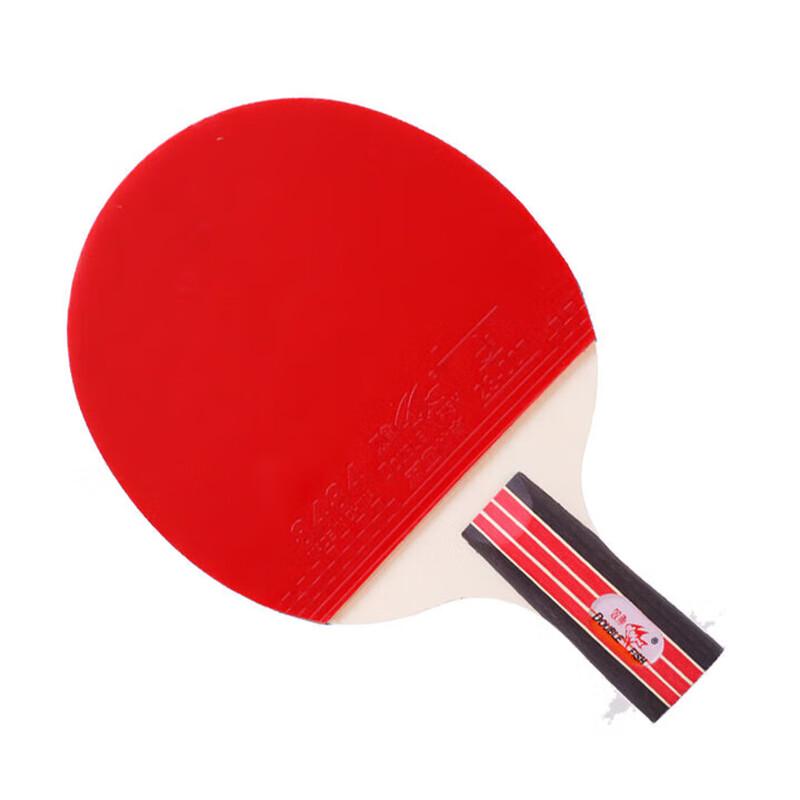 Double Fish 2-Star Table Tennis Racket