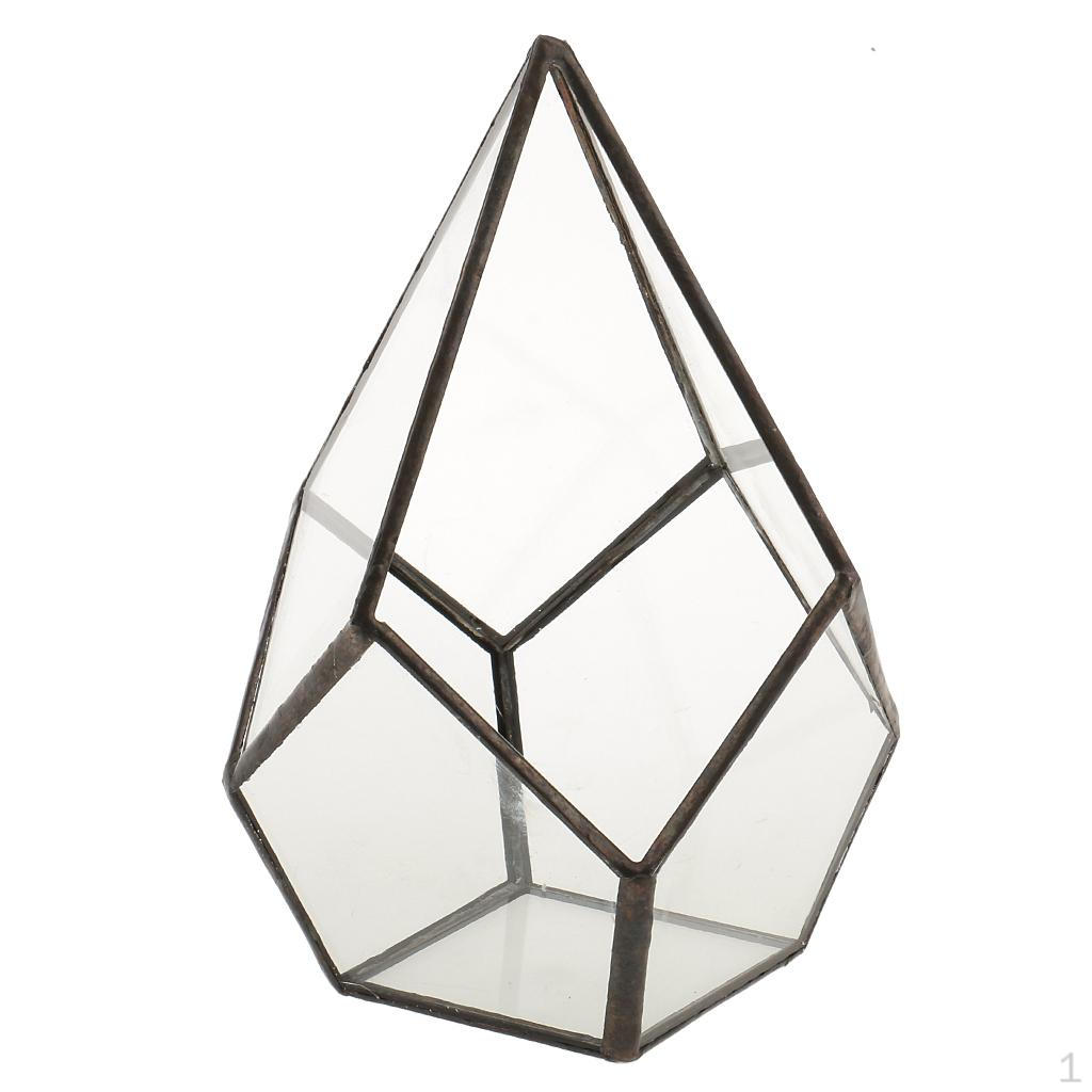 Geometric Shape Glass Flower Pot Terrarium Box Moss Plant Display Case Holder