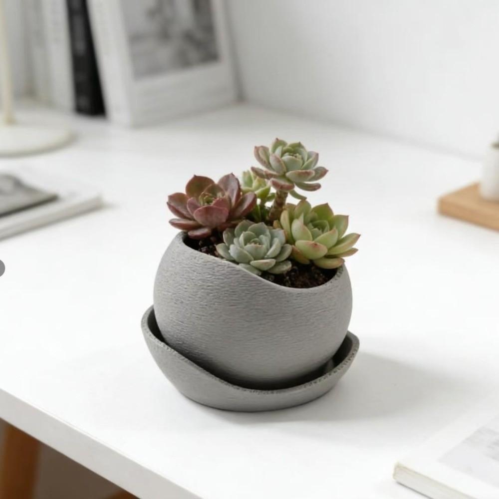 3D-gedruckte Sukkulenten-Pflanzgefäße Kunststoff-Anzuchttöpfe Moderner Dekorativer Topf Schreibtisch