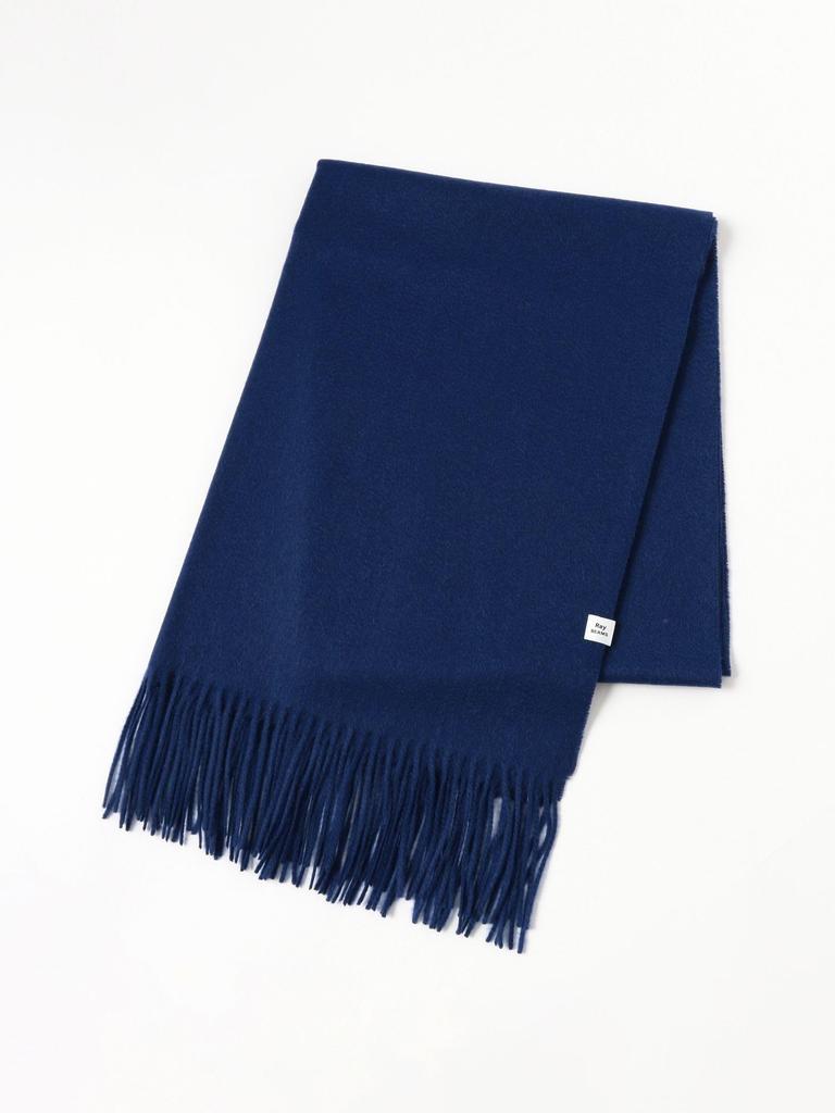 Ray Beams Women's Cashmere Scarf, 2025AW, DEEP_BLUE, Free Size