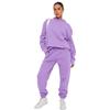 Autumn/Winter Women's Solid Color Hooded Sweater & Casual Trousers Set