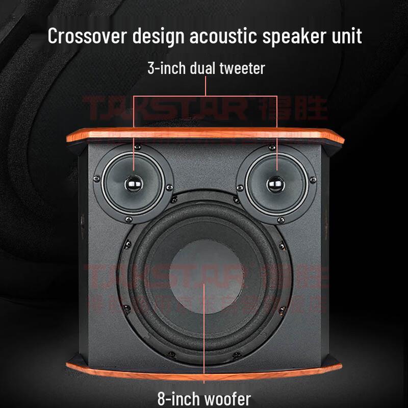 TAKSTAR H-K80 Home KTV Speaker (CN version)
