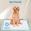 Super Absorbent Pet Diaper Urinal Dog Training Pee Pads 100/50/40/20PCS Disposable Healthy Nappy Mat For Cats Dog Quick-dry Pads