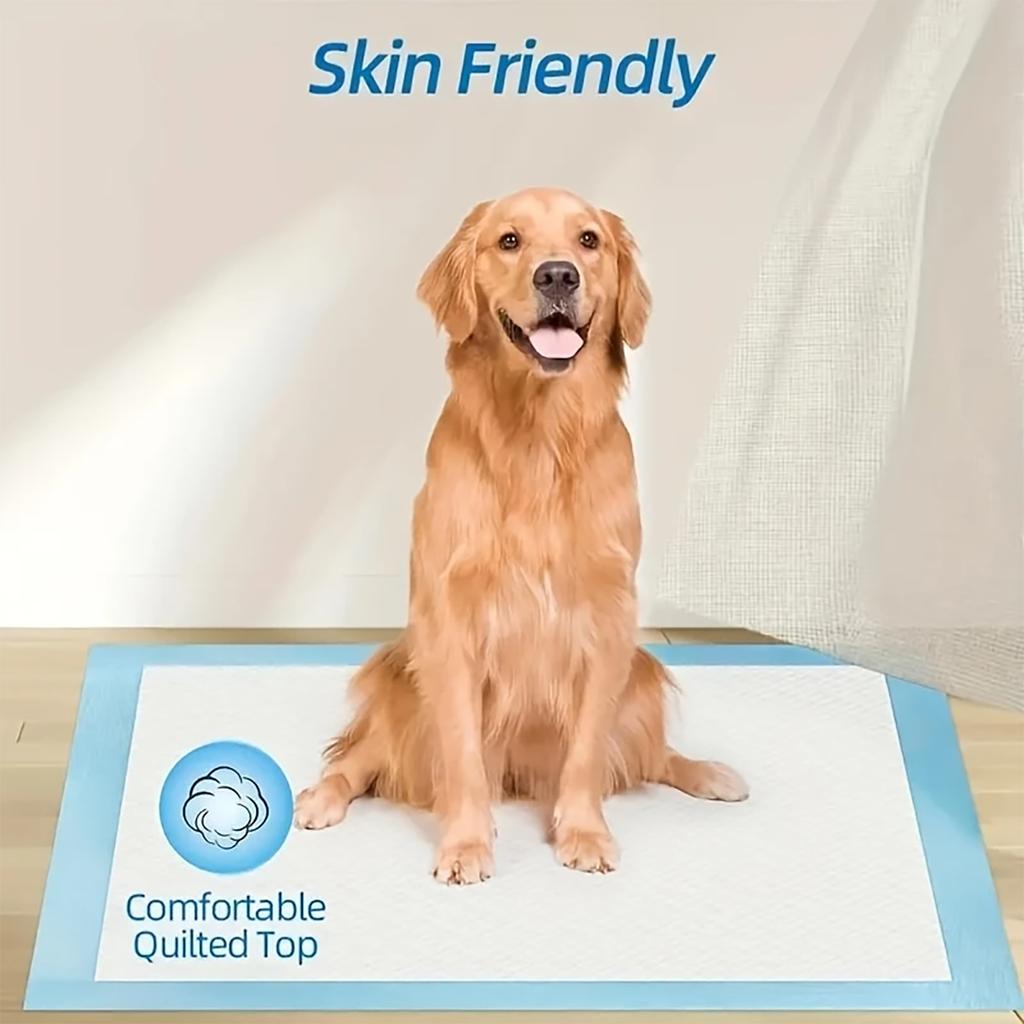 Super Absorbent Pet Diaper Urinal Dog Training Pee Pads 100/50/40/20PCS Disposable Healthy Nappy Mat For Cats Dog Quick-dry Pads