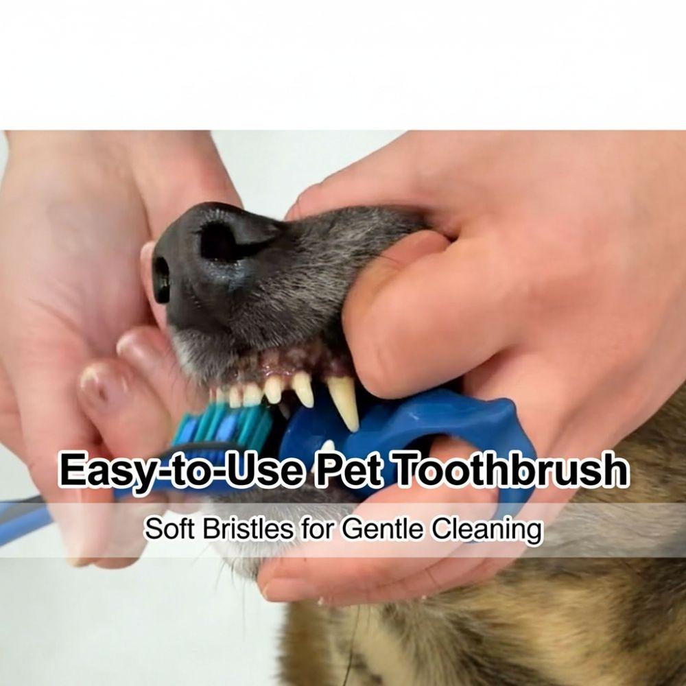 Anti-bite Hand Dog Brush Teeth Auxiliary Tools Cat Teeth Cleaning Toys  For Small and Medium Dogs