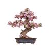 Robotime Rolife 3D Holz Kirschblüten Bonsai Puzzle Einfache Montage Immergrüner Kiefern Bonsai Bausatz Weihnachtsgeschenk für Familie Heimdekoration