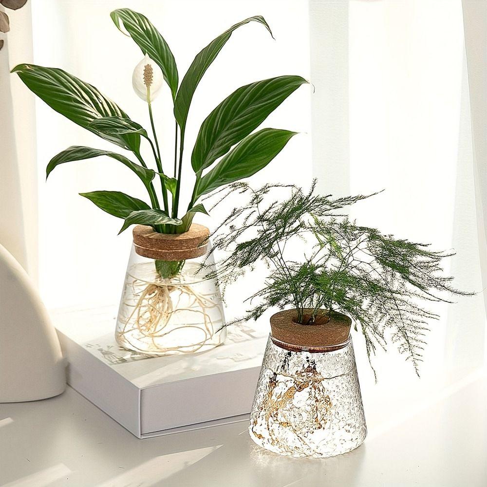 3PCS Small Size Hydroponic Plants Vase Decorative Water Cultivation Vase  Garden Accessories