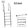 304 Stainless Steel Swimming Pool Ladder with Thickened Handrail and Pedal