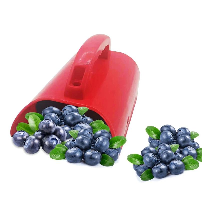 Rastrello Pettine Raccogli Frutti di Bosco, Paletta Raccogli Mirtilli in Plastica, Strumento Raccogli Frutta, Rastrello Paletta per Mirtilli, Strumento Raccoglitore di Frutti di Bosco Portatile
