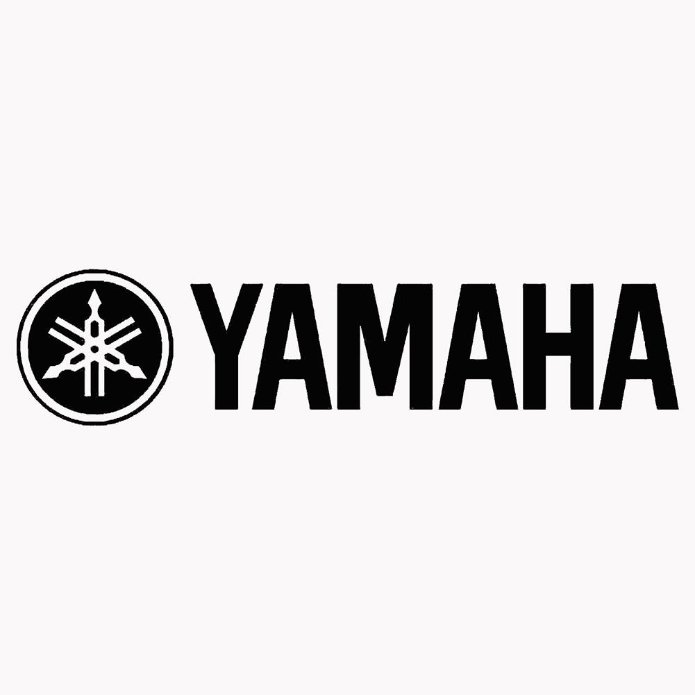 Pegatinas De Fibra De Carbono 5D Para Motos Yamaha: R125, R15, R25, R3, MT-03, MT-25, M-slaz150 - Personaliza Tu Moto