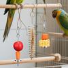 Bird Toys For Parrots Conure Toys Fruit Feeder Bird Supplies 3 Pieces Stainless Steel Cage Accessories Foraging Pet Supplies