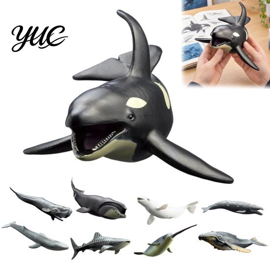 Educational Ocean Animal Toys Realistic Whale Model, Marine Creature Figurines, Beluga, Orca, Blue Whale, Gray Collectible Sea Life Figures