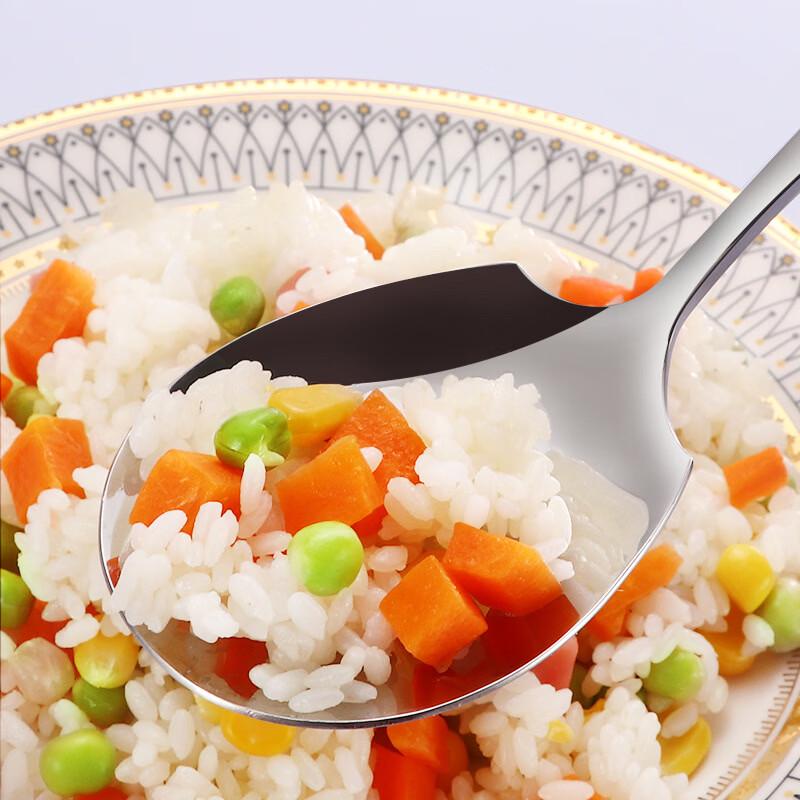 Stainless Steel Serving Spoon