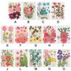 Jewelry Making Photo Props Resin Filler Beauty Decal Dried Flowers Resin Mold Filling Flower