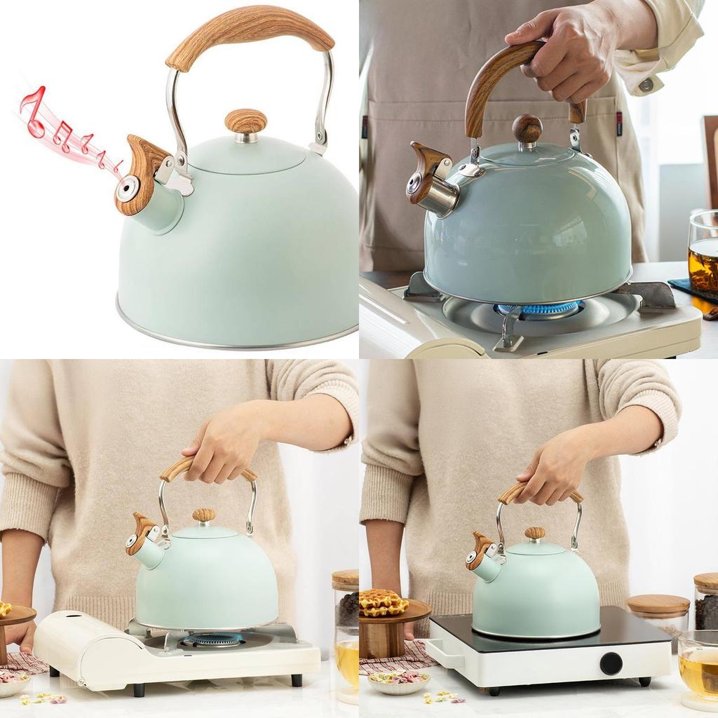 Modern Stainless Steel Whistle Kettle With Collapsible Handle For Home Kitchen And Gift Use