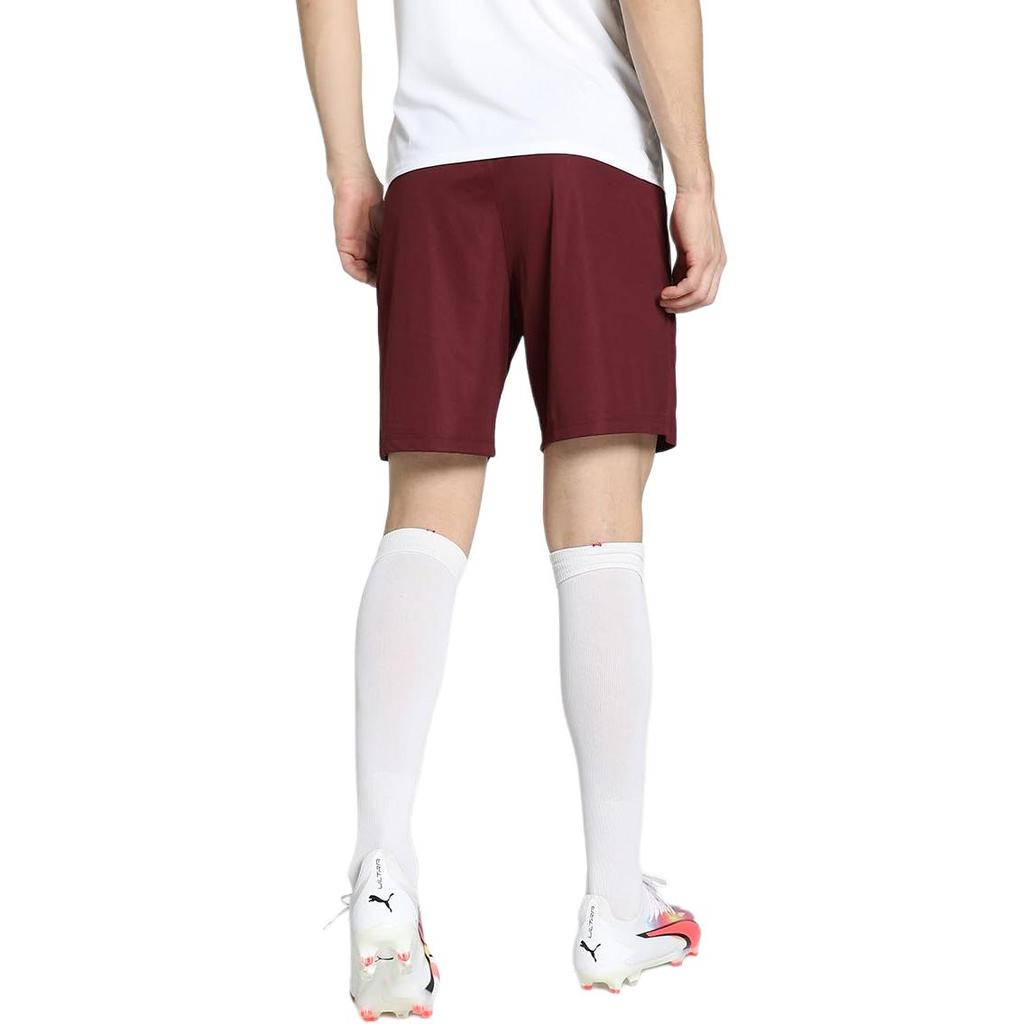 Puma Color Block Moisture Wicking Comfortable Versatile Sports Shorts Men Shorts Brown Red 704924-09